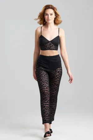 Temptation Allover Lace Bralette