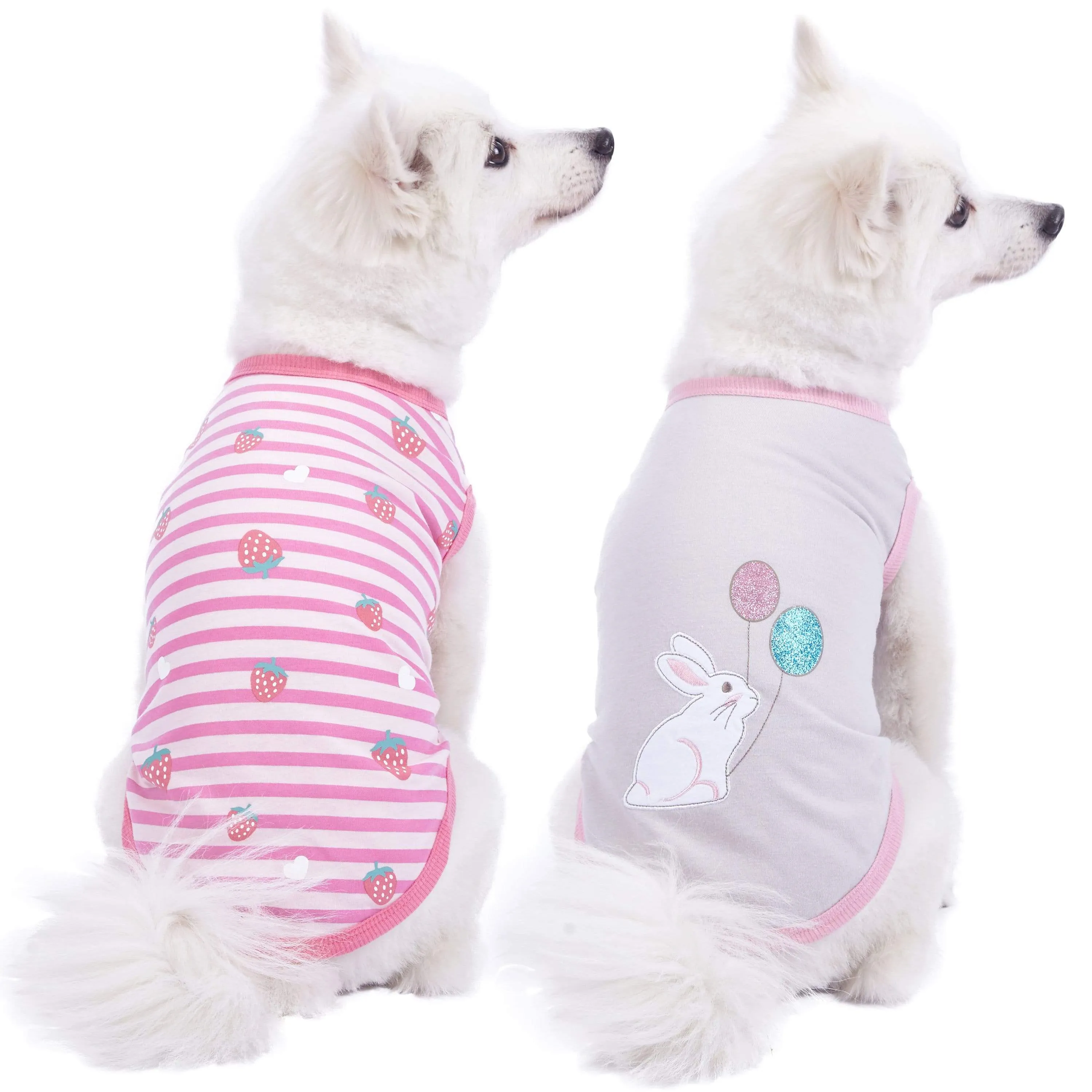 Wonderland Dog T-Shirts, 2 Pack for Spring Adventures